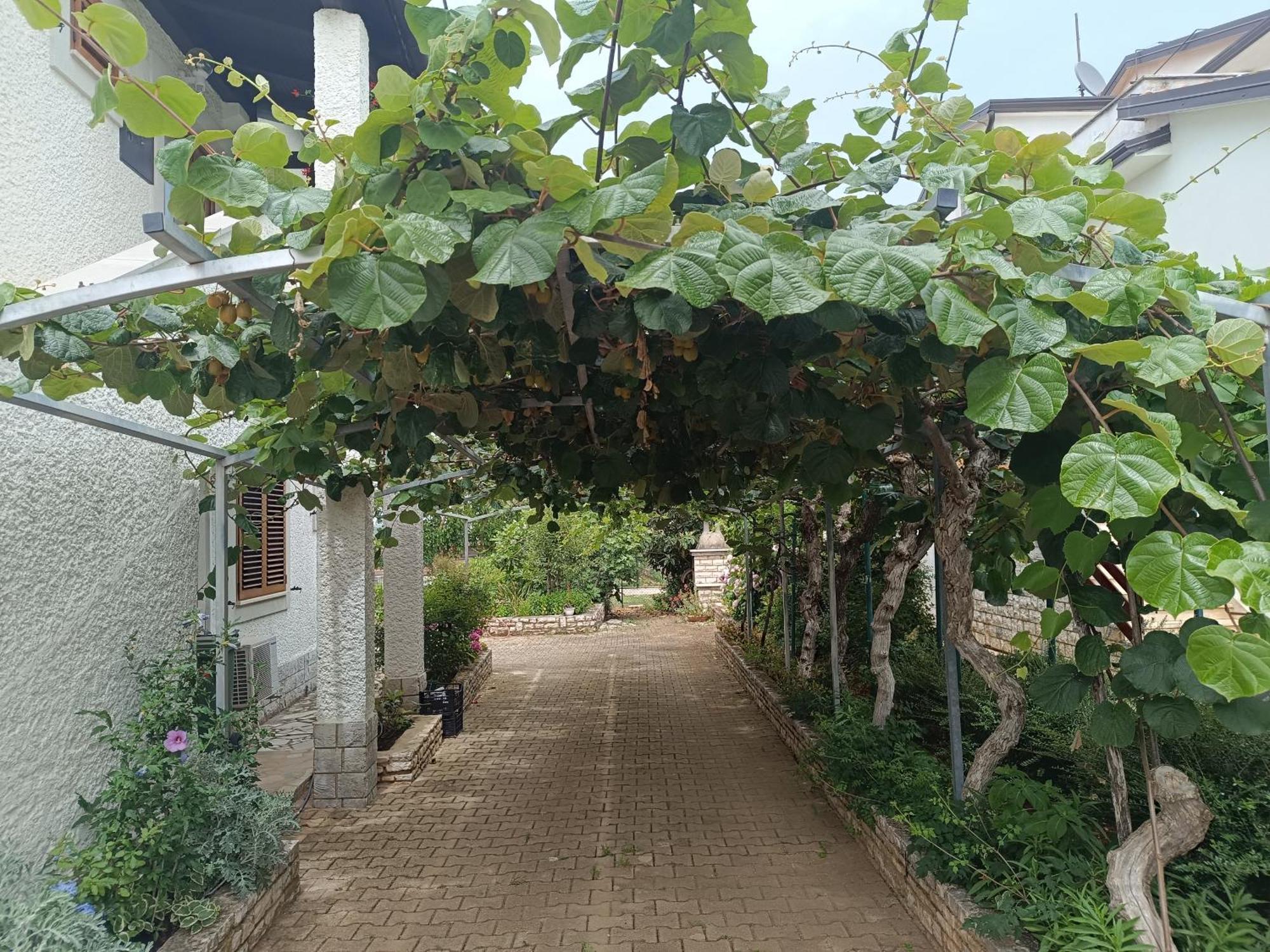 Apartment Milena بوريتش المظهر الخارجي الصورة